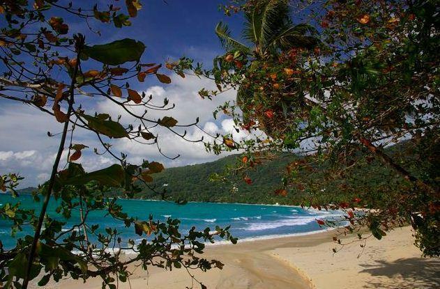 Rowsvilla Guest House Beau Vallon  Dış mekan fotoğraf